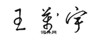 駱恆光王萬宇草書個性簽名怎么寫