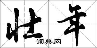 胡問遂壯年行書怎么寫