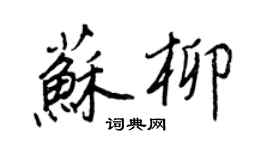 王正良蘇柳行書個性簽名怎么寫