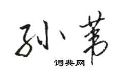 駱恆光孫葦行書個性簽名怎么寫