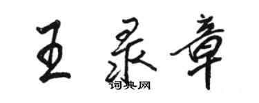 駱恆光王錄章行書個性簽名怎么寫