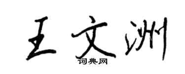 王正良王文洲行書個性簽名怎么寫