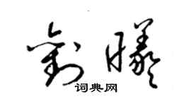 梁錦英劉曦草書個性簽名怎么寫