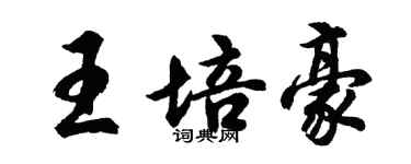 胡問遂王培豪行書個性簽名怎么寫