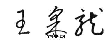 駱恆光王采龍草書個性簽名怎么寫