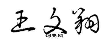 曾慶福王文翔草書個性簽名怎么寫