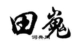 胡問遂田嵬行書個性簽名怎么寫
