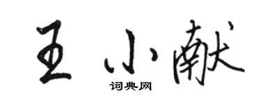駱恆光王小獻行書個性簽名怎么寫