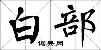 翁闓運白部楷書怎么寫