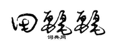 曾慶福田麗麗草書個性簽名怎么寫