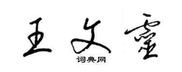 梁錦英王文靈草書個性簽名怎么寫