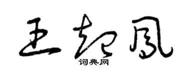 曾慶福王起鳳草書個性簽名怎么寫