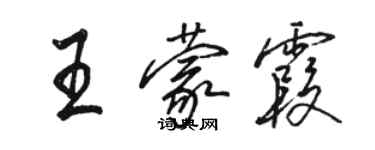 駱恆光王蒙霞行書個性簽名怎么寫