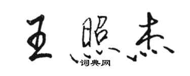 駱恆光王照傑行書個性簽名怎么寫