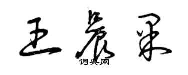 曾慶福王晨果草書個性簽名怎么寫