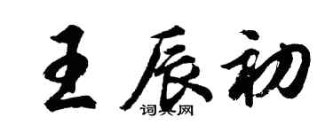 胡問遂王辰初行書個性簽名怎么寫