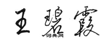 駱恆光王碧霞行書個性簽名怎么寫