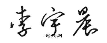 駱恆光李宇晨草書個性簽名怎么寫