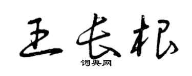 曾慶福王長根草書個性簽名怎么寫