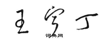 駱恆光王寧丁草書個性簽名怎么寫