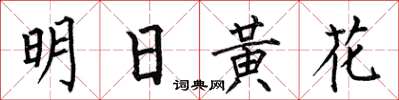 何伯昌明日黃花楷書怎么寫