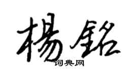 王正良楊銘行書個性簽名怎么寫