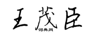 王正良王茂臣行書個性簽名怎么寫