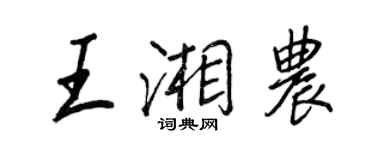 王正良王湘農行書個性簽名怎么寫