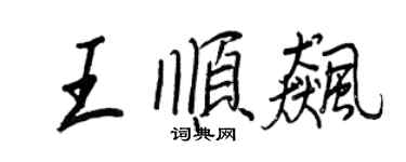 王正良王順飆行書個性簽名怎么寫