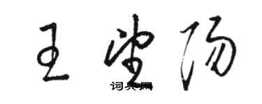 駱恆光王望陽草書個性簽名怎么寫