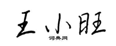 王正良王小旺行書個性簽名怎么寫