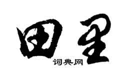 胡問遂田裡行書個性簽名怎么寫