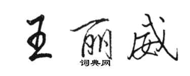 駱恆光王麗威行書個性簽名怎么寫