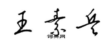 梁錦英王素兵草書個性簽名怎么寫