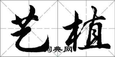 胡問遂藝植行書怎么寫