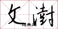 文澍怎么寫好看