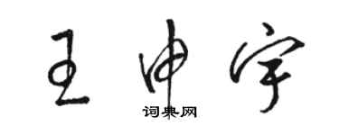 駱恆光王申宇草書個性簽名怎么寫