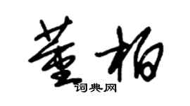 朱錫榮董柏草書個性簽名怎么寫