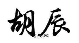 胡問遂胡辰行書個性簽名怎么寫