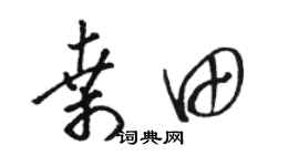 駱恆光桑田草書個性簽名怎么寫