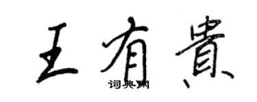 王正良王有貴行書個性簽名怎么寫
