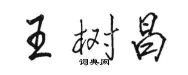 駱恆光王樹昌行書個性簽名怎么寫