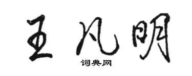 駱恆光王凡明行書個性簽名怎么寫