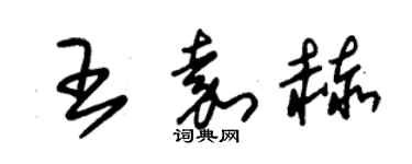 朱錫榮王嘉赫草書個性簽名怎么寫