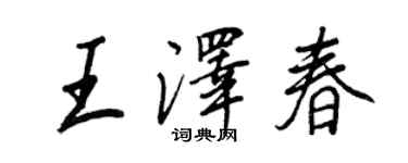 王正良王澤春行書個性簽名怎么寫