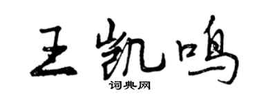 曾慶福王凱鳴行書個性簽名怎么寫