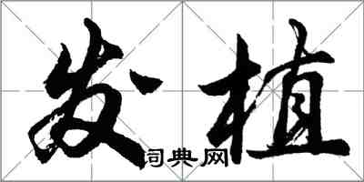 胡問遂發植行書怎么寫