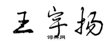 曾慶福王宇揚行書個性簽名怎么寫