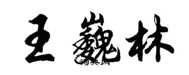 胡問遂王巍林行書個性簽名怎么寫