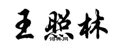 胡問遂王照林行書個性簽名怎么寫